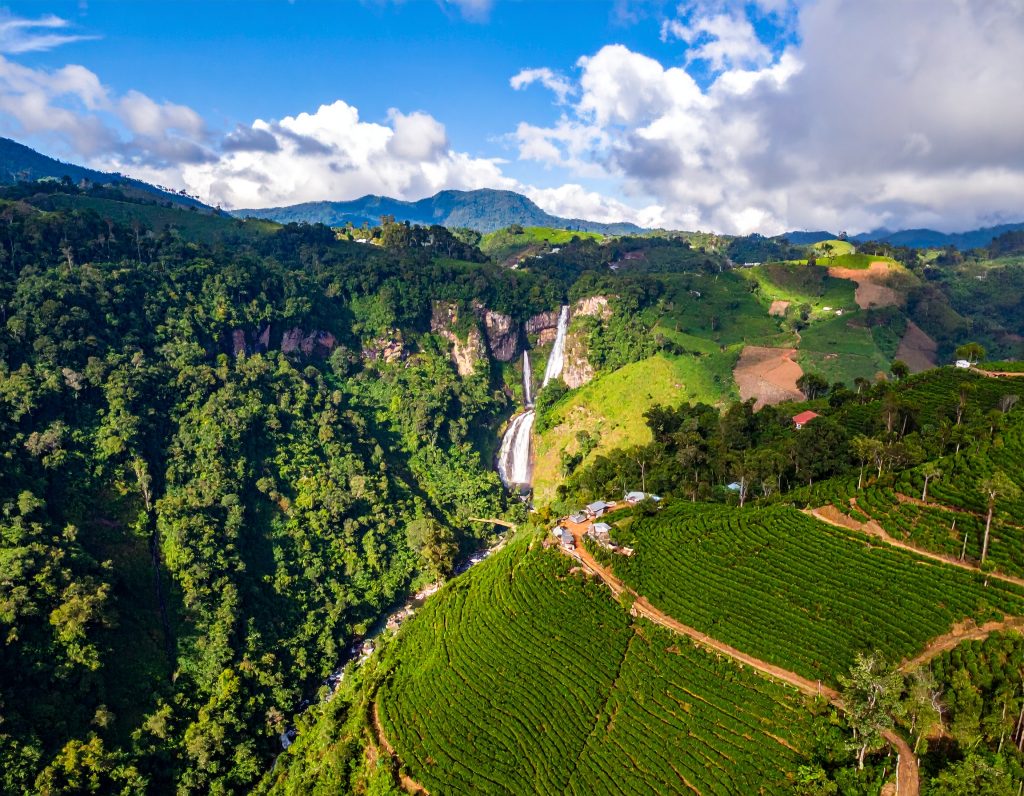 Bolaven Plateau waterfalls and coffee plantations surrounded by tropical forest, Laos.