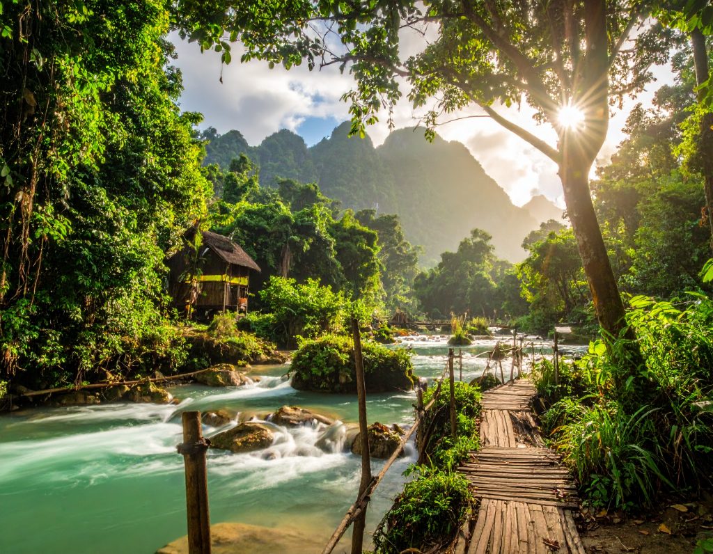 Dense jungle landscape in Nam Et–Phou Louey National Park, Laos, with eco-tourism lodge.
