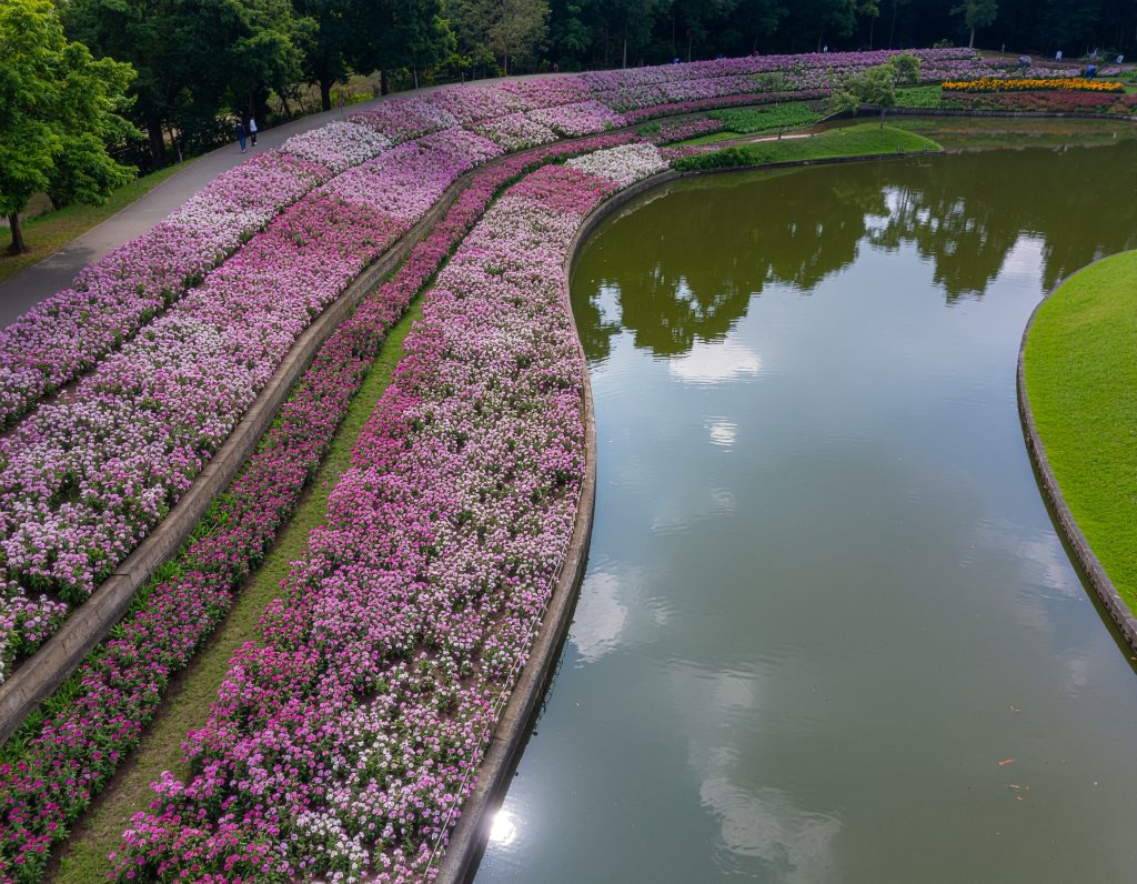 Visitors enjoying interactive 3D art at Art in Paradise, Chiang Mai.