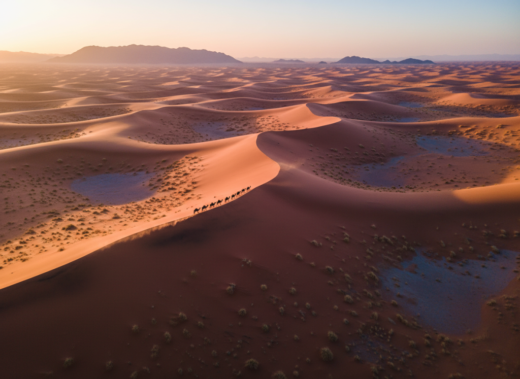 Aerial view of sweeping Arabian desert dunes with cinematic shadows.