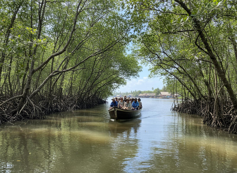Boat safari moving through mangrove forest on Bentota River